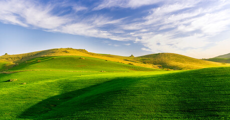 green spring hills with young grass and amazing growing fields and hills with beautiful bright cloudy sunset on background of rural landscape