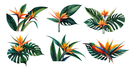 Watercolor strelitzia set. Generative Ai