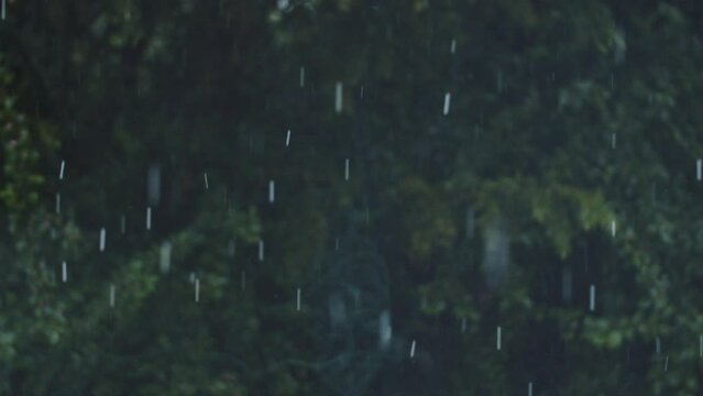 Slow-motion shot of hail falling through the frame, dark green bushes in the background. Static shot of a hail storm in spring.