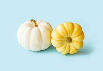 Small diverse pumpkins. Fall season collection.