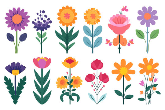 decoration flowers set illustration, set of colorful flowers illustration