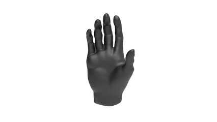 Hand front view without shadow 3d render