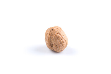 Dried walnut