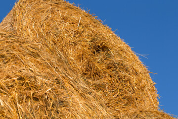 Piled hay bales on a field against blue sky