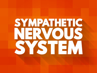 Sympathetic Nervous System - network of nerves that helps your body activate its “fight-or-flight” response, text concept background