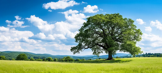 A serene green summer meadow, adorned with vibrant flowers, embraces an ancient oak tree, painting a picturesque atmospheric landscape. Ai-genereted