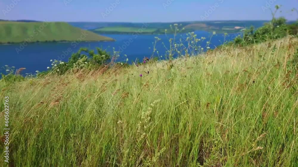 Sticker Swaying grasses and wildflowers, Podilski Tovtry National Park, Ukraine