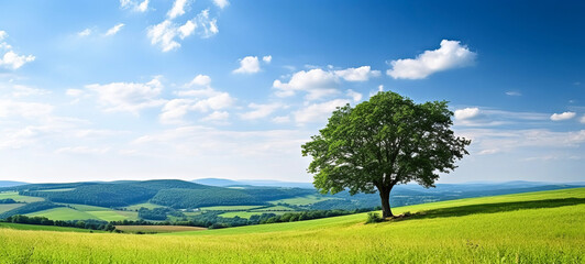 A serene green summer meadow, adorned with vibrant flowers, embraces an ancient oak tree, painting a picturesque atmospheric landscape. Ai-genereted