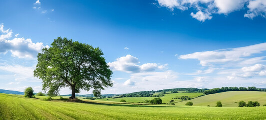 A serene green summer meadow, adorned with vibrant flowers, embraces an ancient oak tree, painting a picturesque atmospheric landscape. Ai-genereted