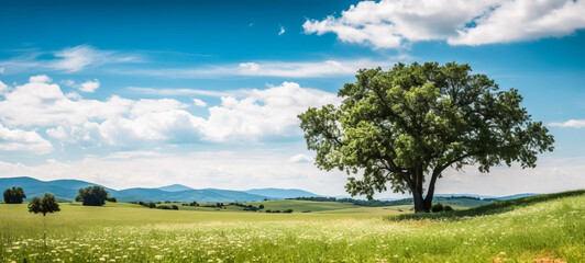 A serene green summer meadow, adorned with vibrant flowers, embraces an ancient oak tree, painting a picturesque atmospheric landscape. Ai-genereted
