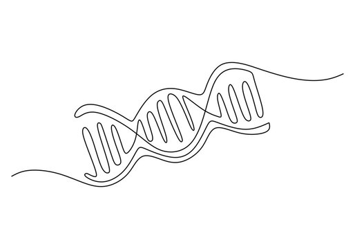 recommend clip art: One continuous single line drawing of dna isolated on white background.