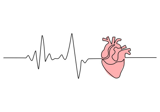 One continuous single line drawing of heart beat isolated on white background.