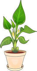 
Potted Fresh Home Decoration Lily Plant, Colorful Cartoon Illustration Home Plant