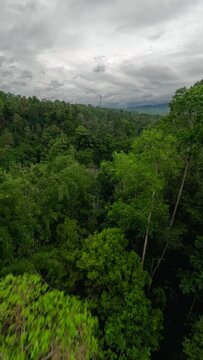 Vertical video. Tropical island waterfall speed water river fall stream stones rainforest mountain valley aerial view. FPV sport drone shot exotic jungle cascade fern greenery woodland cliff creek 4k