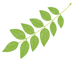 watercolor painting line art color cute leaves