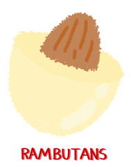 painting, line art, color, cute, fruit, thailand, rambutan