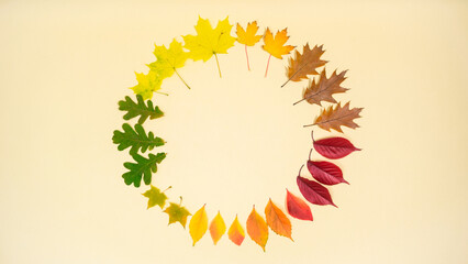 Coming of fall. Happy Thanksgiving Day Holiday.