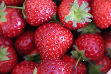 erdbeeren