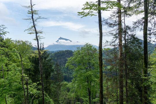 view of an idyllic landscape in the mountains, Salzburg, Austria, on a day in spring