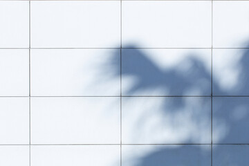 background of shadows of palm leaves on the wall in sunlight