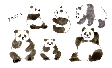 かわいい　パンダ　全身　イラスト　親子　横　正面　手書き　手描き　セット　動物　ほのぼの　のんびり　ほっこり　白背景　グラフィック素材　絵本