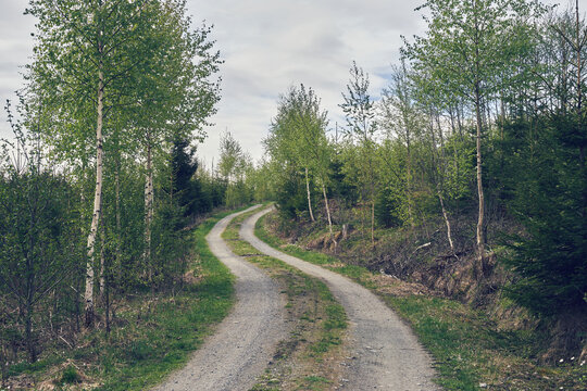 A gravel road of the Krabyskogen Forest, Norway.