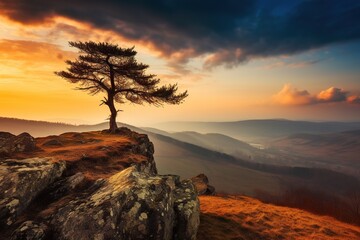 A lone tree on top of a mountain at sunset