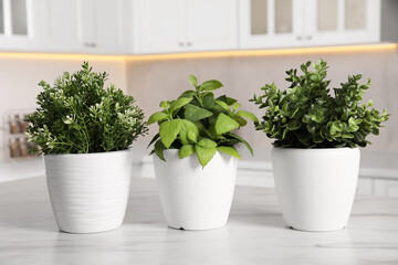 Artificial potted herbs on white marble table in kitchen. Home decor