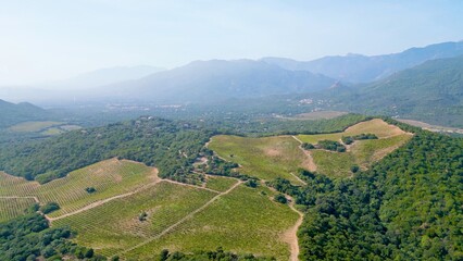 Fototapeta na wymiar Aerial Voyage over the Verdant Vines: Torraccia Winery, Lecci, Corsica - Where Nature's Splendor Meets Viticultural Artistry Amidst Mountainous Scenery