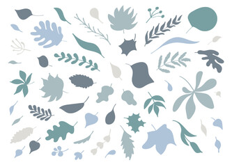 A set of leaves of different trees. Elements in a flat style, hand-drawn, pastel flowers and greenery. Silhouettes of various leaves in color. Isolated vector elements.