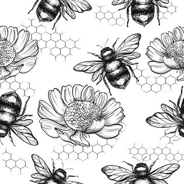 graphic illustration bee and camomile, hand draw art black line. Seamless Pattern for textile, postcard, background