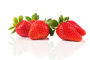 Red ripe strawberry fruits