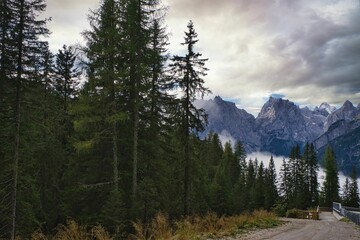 Beautiful landscape of fir forest and rocks in Dolomites on a cloudy day