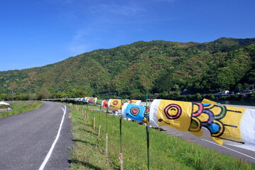 堤防沿いを元気に泳ぐ鯉のぼり　（高知県　いの町）
