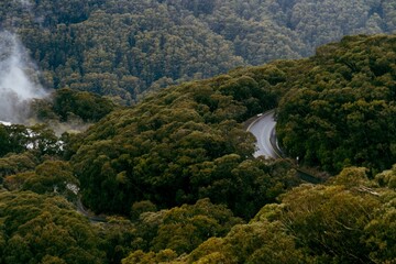 High-angle view of a narrow road in the beautiful forest