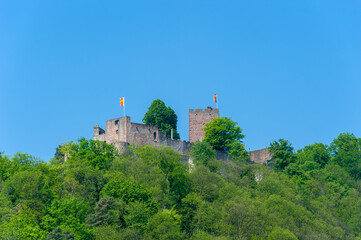 Fototapeta na wymiar Landschaftsbild mit Burg Landeck bei Klingenmünster. Region Pfalz im Bundesland Rheinland-Pfalz in Deutschland
