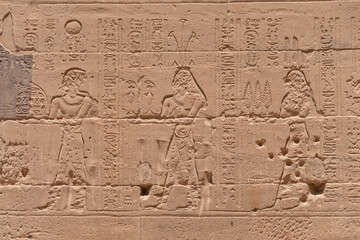Fototapeta na wymiar Antiguo Templo de Filae en el sur de Egipto