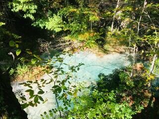 Aerial shot of a crystal clear river surrounded by bright summer trees in the forest