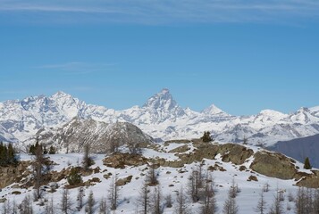 Sunny winter scene featuring a white hillside blanketed in snow, the Cervino peak