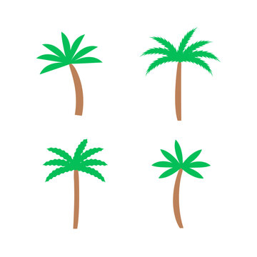 Palm trees isolated on white background. Set of flat coconut palms. Cartoon vector illustration of tropical plants