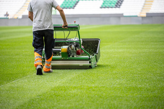 Green grass soccer field