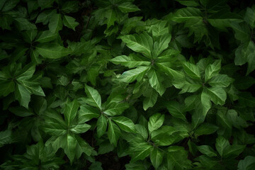 Green foliage background, Generative ai