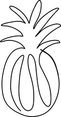 Continuous line drawing of pineapple. Modern one line hand drawn minimalist illustration.
