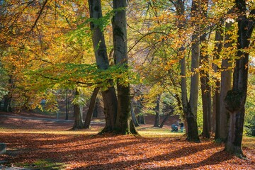Autumn view in a park in Munich