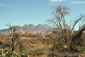 Naklejka premium Beautiful landscape of the Four Peaks, Arizona, and the Sonoran desert