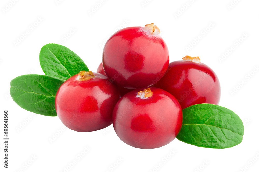 Wall mural cranberry isolated on white background, full depth of field - Wall murals