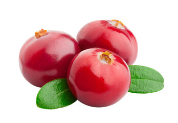cranberry isolated on white background, full depth of field