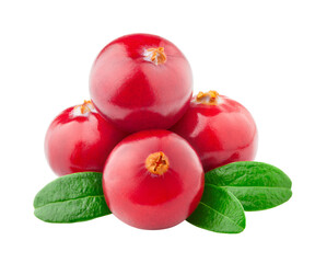 cranberry isolated on white background, full depth of field