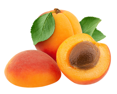 apricot isolated on white background, full depth of field