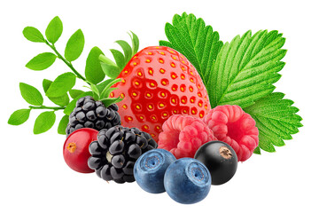 wild berries mix, strawberry, raspberry, currant, blueberry, cranberry, blackberry, isolated on white background, full depth of field
